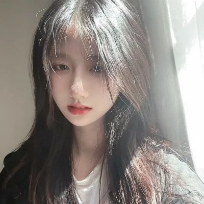 龙之家族